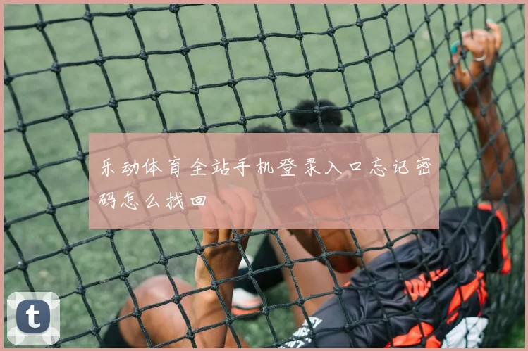 乐动体育全站手机登录入口忘记密码怎么找回