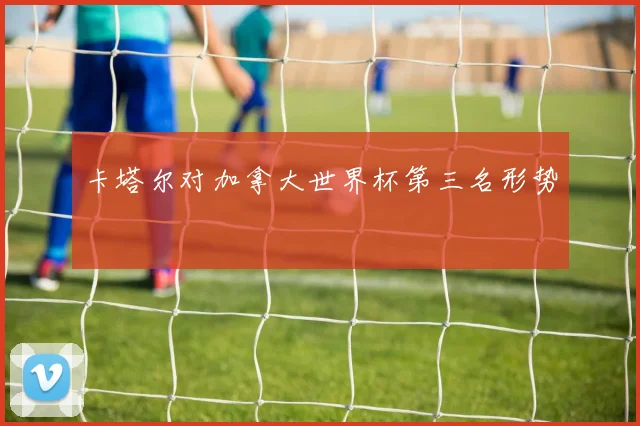 卡塔尔对加拿大世界杯第三名形势
