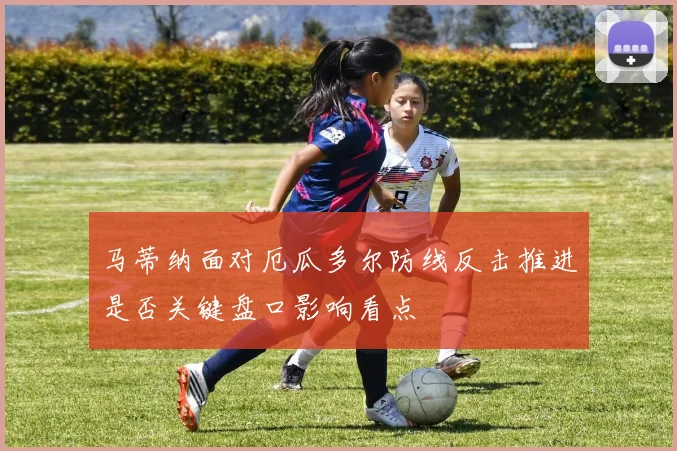 马蒂纳面对厄瓜多尔防线反击推进是否关键盘口影响看点