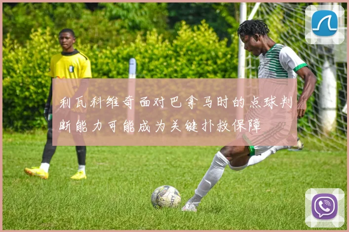 利瓦科维奇面对巴拿马时的点球判断能力可能成为关键扑救保障
